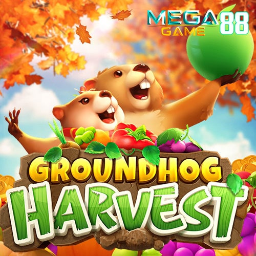 groundhog-harvest