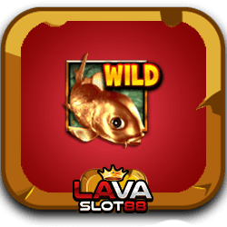 Lucky Koi Review Slot