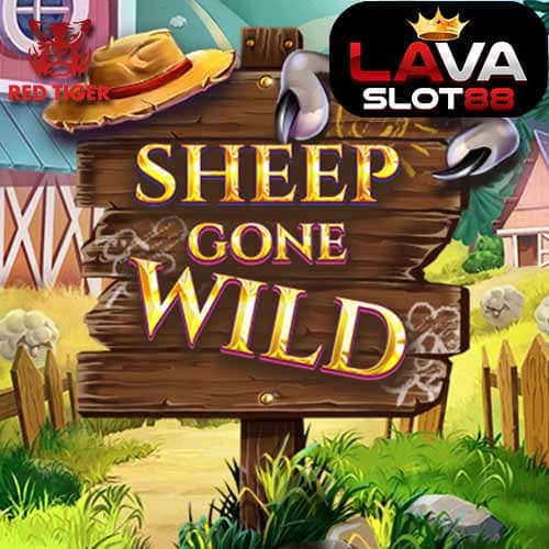Sheep Gone Wild